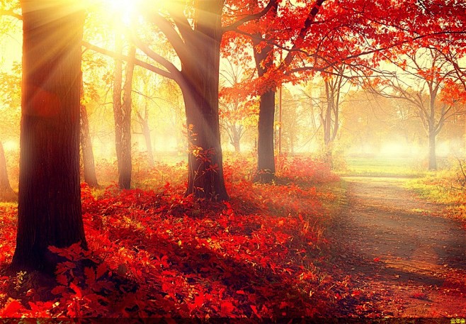 環(huán)氧粉末防腐鋼管廠家+前10(管道防腐環(huán)氧粉末廠)