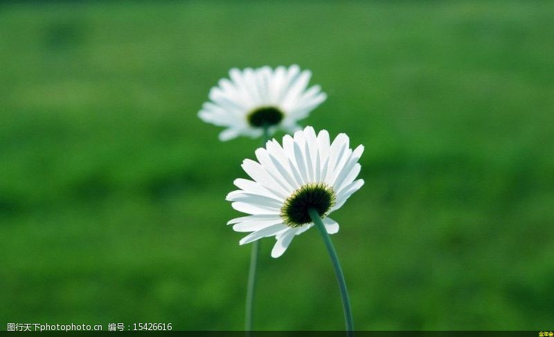 環(huán)氧粉末防腐鋼管多少錢(環(huán)氧粉末防腐螺旋鋼管)