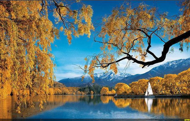 聚氨酯保溫鋼管多少錢一根(聚氨酯保溫噴涂)