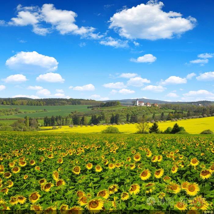 鋼套鋼保溫鋼管介紹(保溫套管價(jià)格)