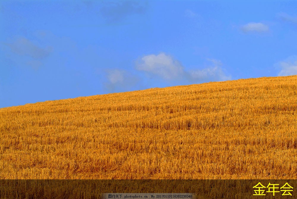 tpep防腐鋼管的供應(yīng)鏈優(yōu)化策略 tpep防腐鋼管的供應(yīng)鏈優(yōu)化策略