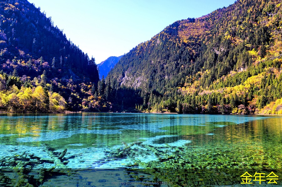 tpep防腐鋼管的市場(chǎng)推廣策略