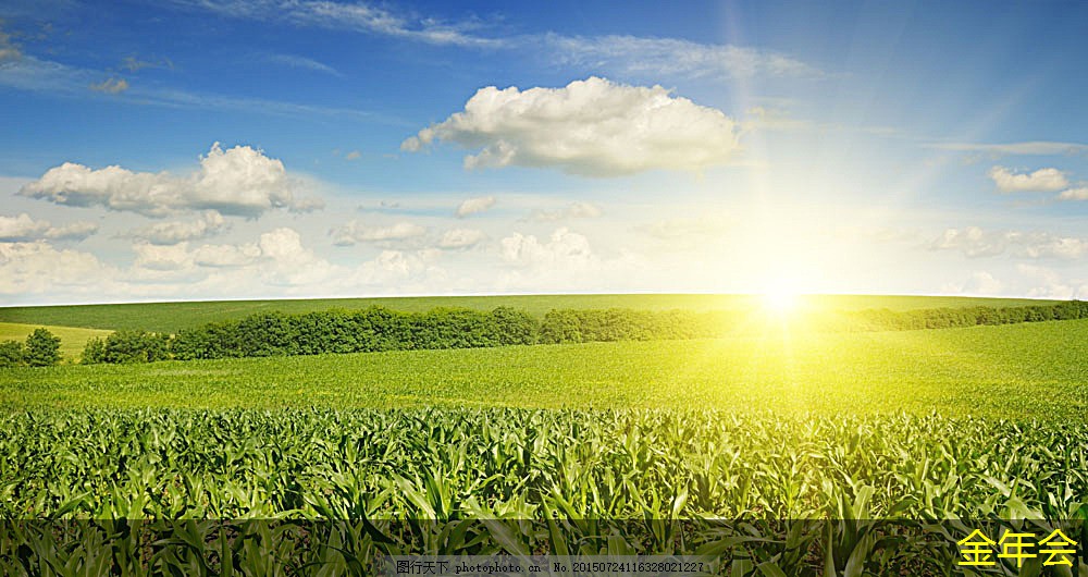 tpep防腐鋼管的市場(chǎng)調(diào)研方法