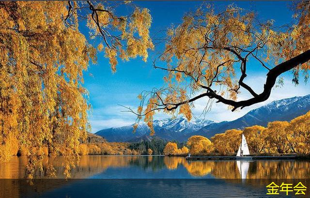 tpep防腐鋼管的市場趨勢預(yù)測