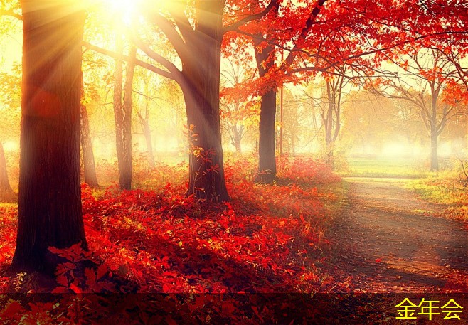 tpep防腐鋼管的市場需求預(yù)測