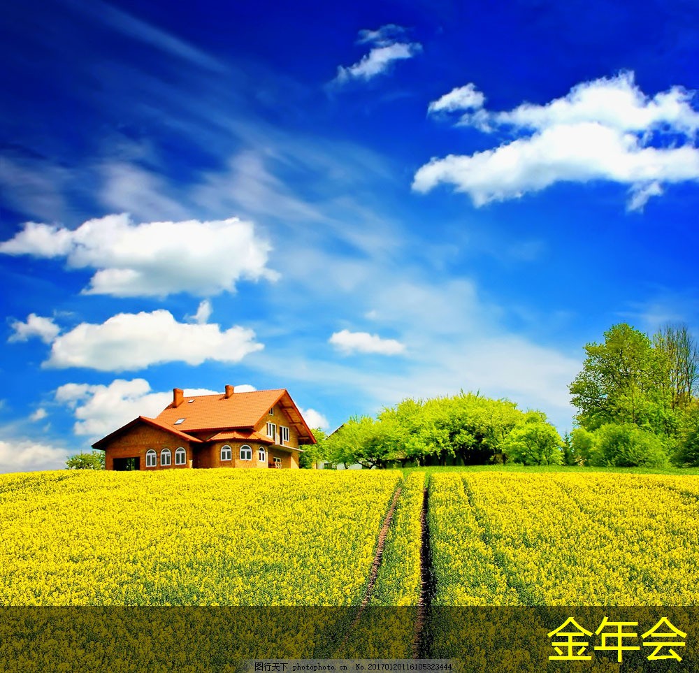 tpep防腐鋼管的技術(shù)性能評估