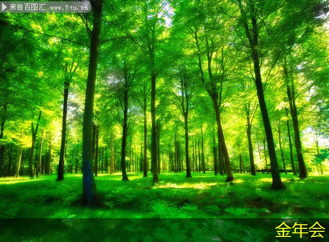 tpep防腐鋼管的生產(chǎn)流程解析