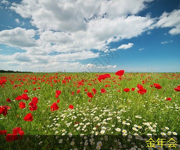 tpep防腐鋼管的維護和修復方法