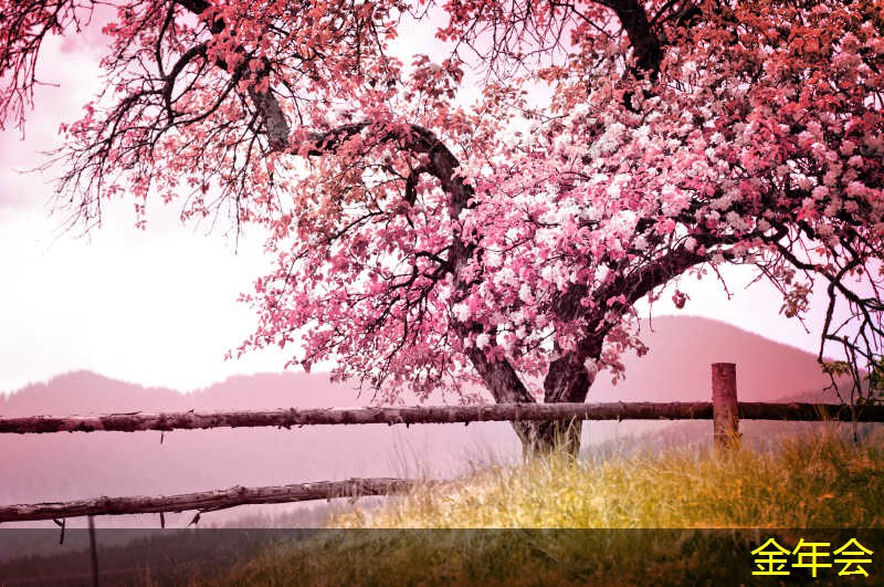 如何選擇高質(zhì)量的tpep防腐鋼管