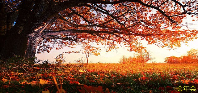 水泥砂漿防腐鋼管的優(yōu)勢與劣勢 水泥砂漿防腐鋼管的優(yōu)勢與劣勢