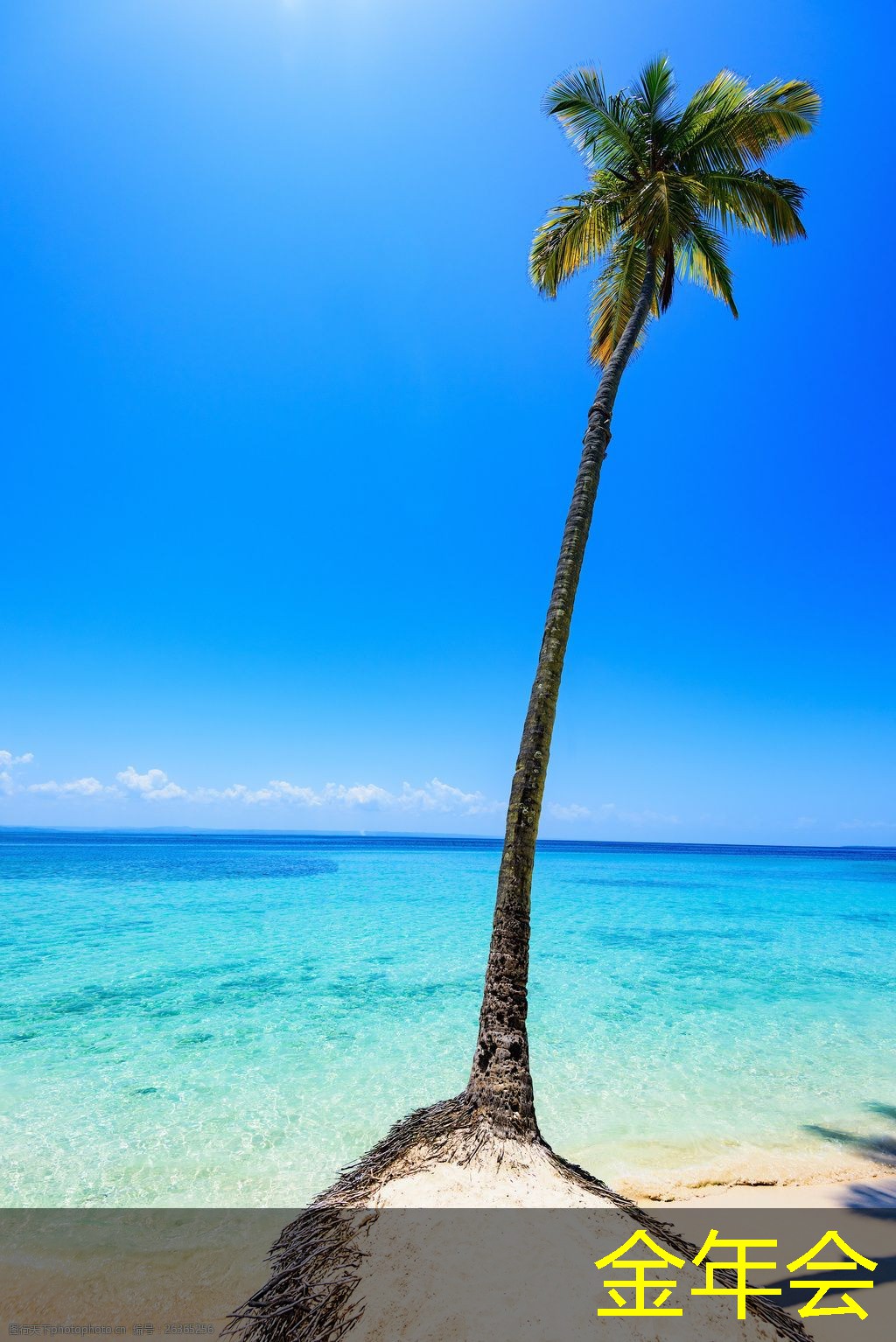 水泥砂漿防腐鋼管的市場競爭分析 水泥砂漿防腐鋼管的市場競爭分析