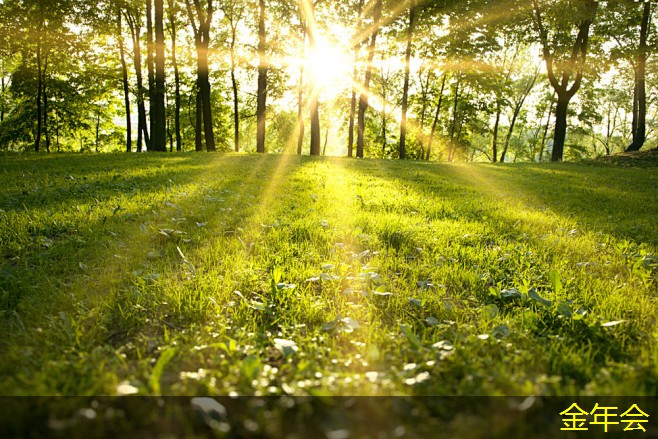 水泥砂漿防腐鋼管的生產(chǎn)標(biāo)準(zhǔn)