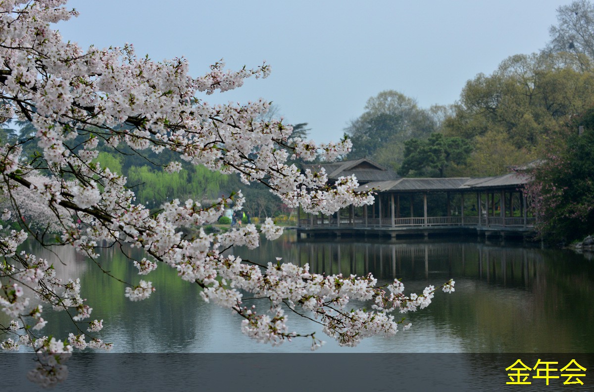 水泥砂漿防腐鋼管的質(zhì)量要求