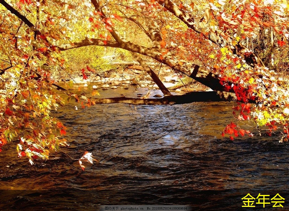 涂塑鋼管的物理化學(xué)性質(zhì)分析