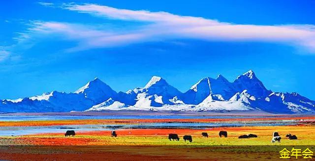 涂塑鋼管的生產(chǎn)技術(shù)分析 涂塑鋼管的生產(chǎn)技術(shù)分析