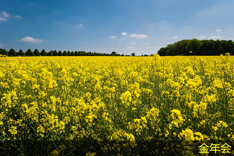 環(huán)氧煤瀝青防腐鋼管的技術(shù)應(yīng)用與 環(huán)氧煤瀝青防腐鋼管的技術(shù)應(yīng)用與