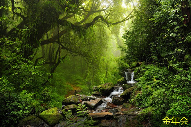 環(huán)氧煤瀝青防腐鋼管的涂層施工要領(lǐng)