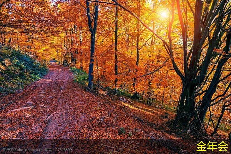 環(huán)氧煤瀝青防腐鋼管的耐高溫性能