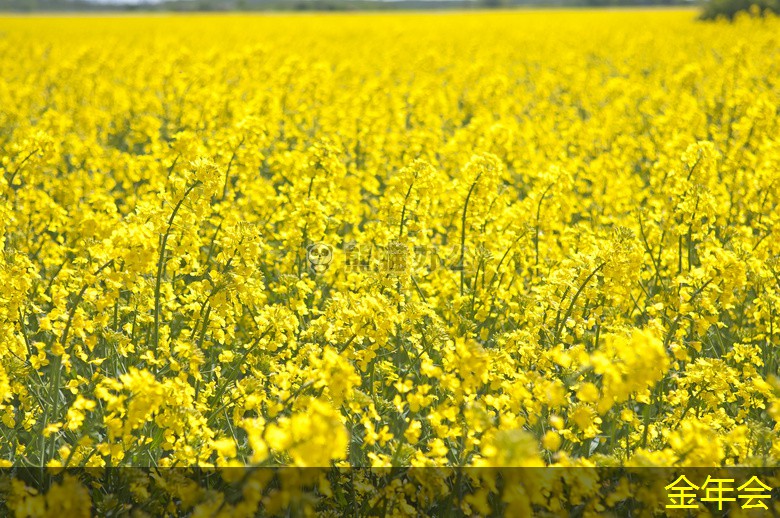 環(huán)氧粉末防腐鋼管國際市場標(biāo)準(zhǔn)對比