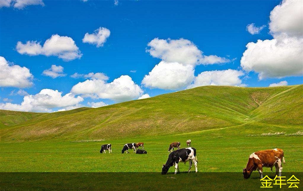 環(huán)氧粉末防腐鋼管性能標準分析