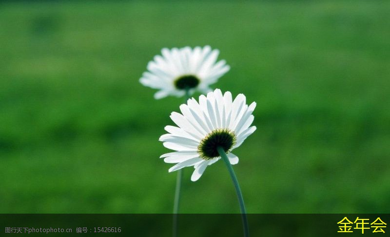 環(huán)氧粉末防腐鋼管標(biāo)準(zhǔn)化的實踐經(jīng)驗分享