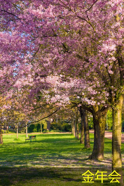 環(huán)氧粉末防腐鋼管標(biāo)準(zhǔn)在施工中的應(yīng)用