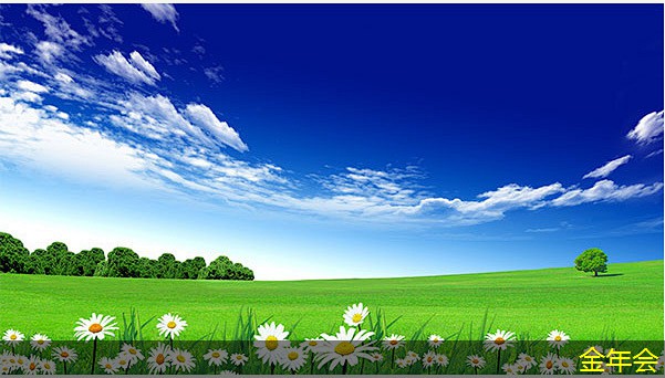 環(huán)氧粉末防腐鋼管的市場趨勢分析