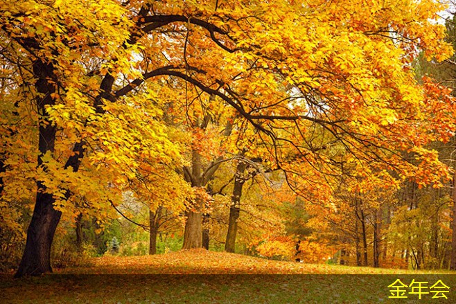 環(huán)氧粉末防腐鋼管的技術(shù)標(biāo)準(zhǔn)解讀