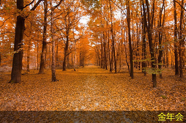 環(huán)氧粉末防腐鋼管的標(biāo)準(zhǔn)化挑戰(zhàn)與應(yīng)對