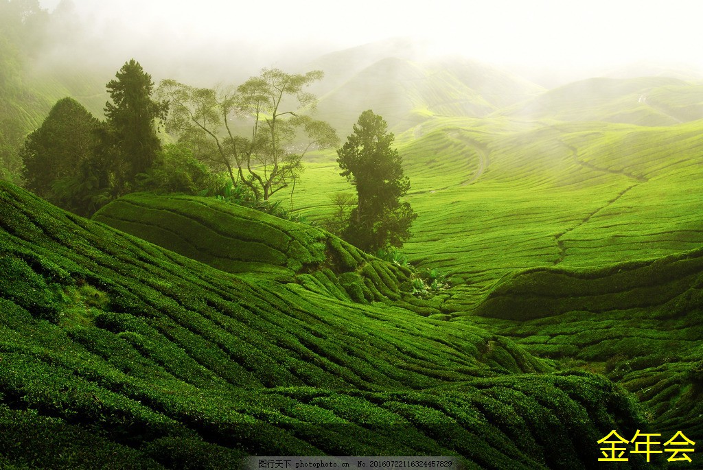 環(huán)氧粉末防腐鋼管的行業(yè)應(yīng)用分析