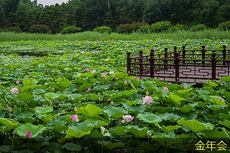 鋼套鋼保溫鋼管的保溫效果提升