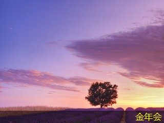 鋼套鋼保溫鋼管的技術(shù)發(fā)展趨勢