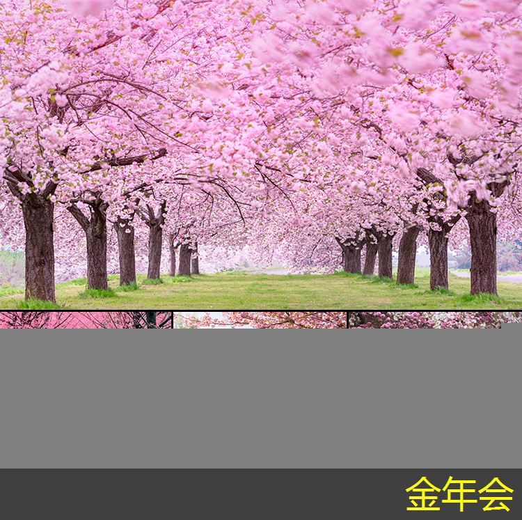 鋼套鋼保溫鋼管的技術規(guī)范介紹