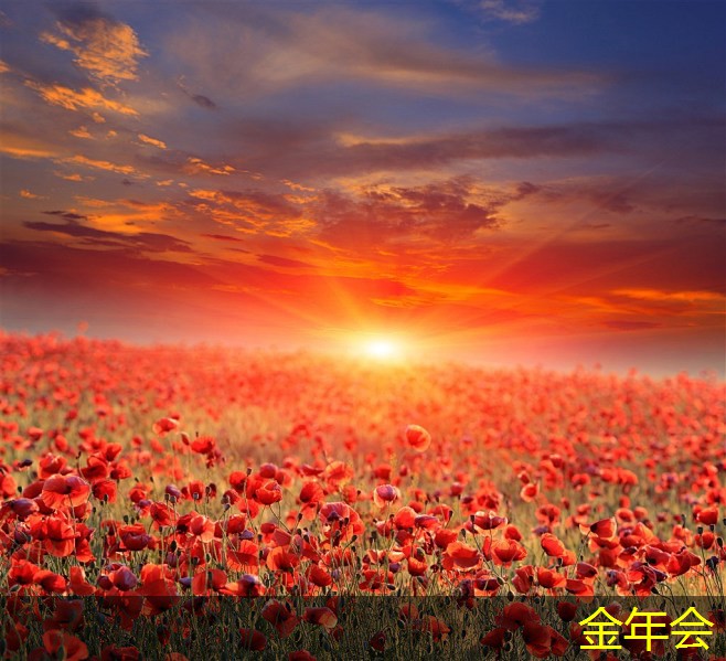 鋼套鋼保溫鋼管的施工工藝總結(jié)